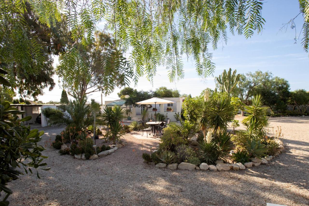 Apartment Costa Blanca Mutxamel Kültér fotó