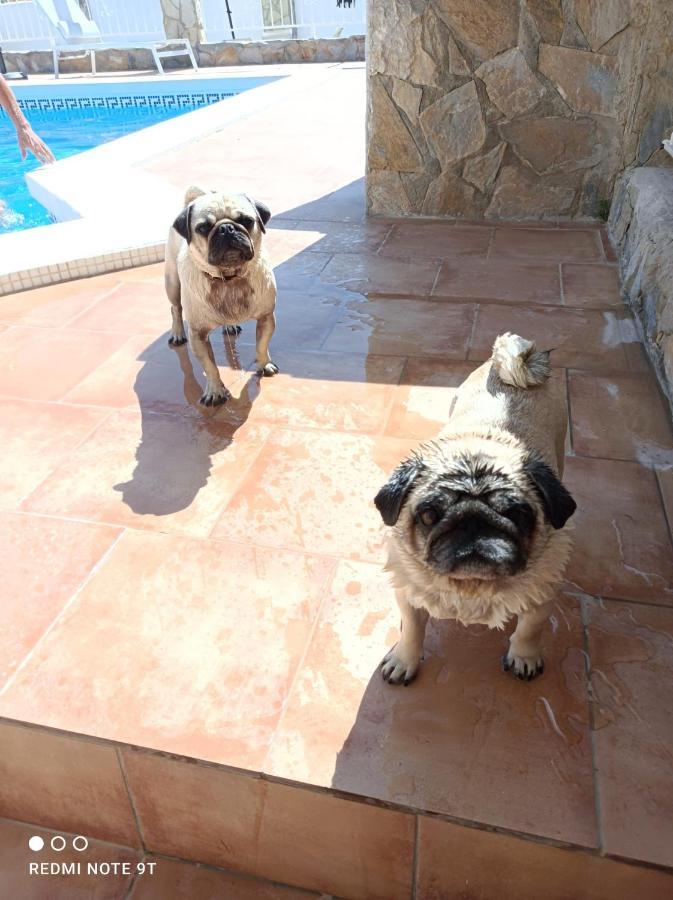 Apartment Costa Blanca Mutxamel Kültér fotó